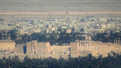 Губернатор хомса подтвердил захват пальмиры боевиками