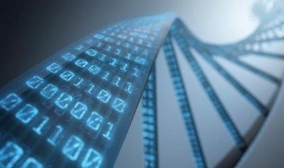 Информация в природе (информация, природа, передачи информации) Информация в природе
