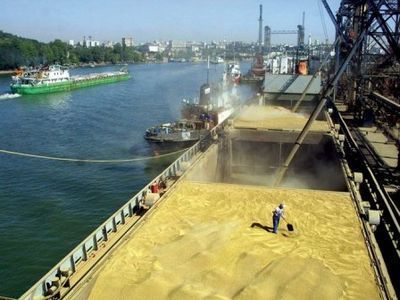 Иран не нуждается в российской пшенице, но от закупок не отказывается - «экономика»