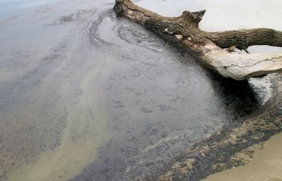 Ученые разработали экологичный метод очистки озер от нефти