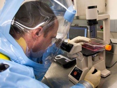 Ученые установили возраст эбола